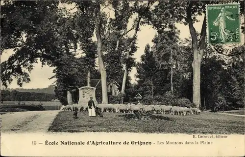 Ak Thiverval Grignon Yvelines, Les Moutons dans la Plane, École Nationale d'Agriculture