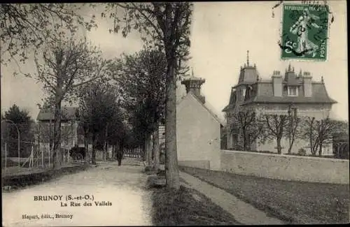 Ak Brunoy Essonne, La Rue des Valleis