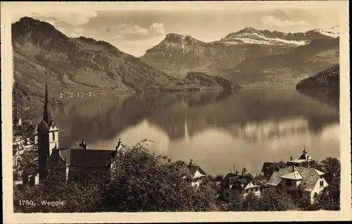 Ak Weggis Kanton Luzern, Panorama vom Ort, Berglandschaft