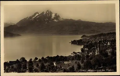 Ak Weggis Kanton Luzern, Panorama mit Pilatus