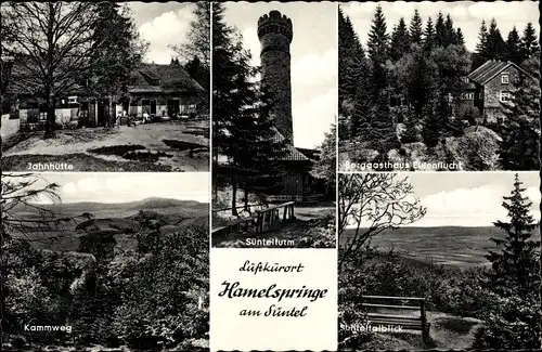 Ak Hamelspringe Bad Münder am Deister, Jahnhütte, Süntelturm, Gasthof Eulenflucht, Kammweg