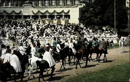 Ak Huldigungsfestzug 1908, Armee des Feldmarschalls Radetzky 1848