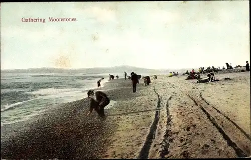 Ak St Helena Kalifornien USA, Gathering Moonstones