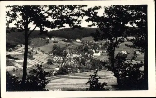Ak Stützerbach Ilmenau Thüringer Wald, Gesamtansicht, Waldpartie