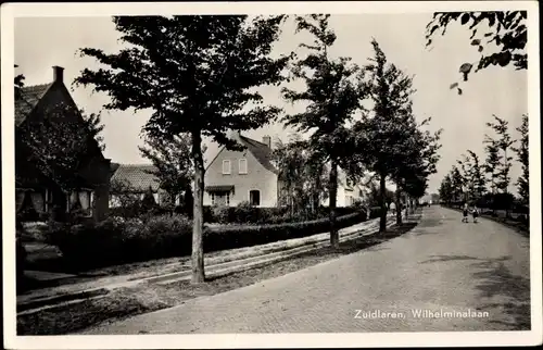 Ak Zuidlaren Drenthe Niederlande, Wilhelminalaan