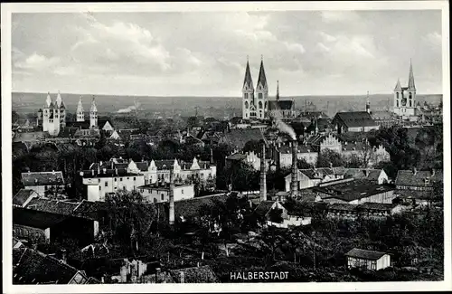 Ak Halberstadt Sachsen Anhalt, Panorama