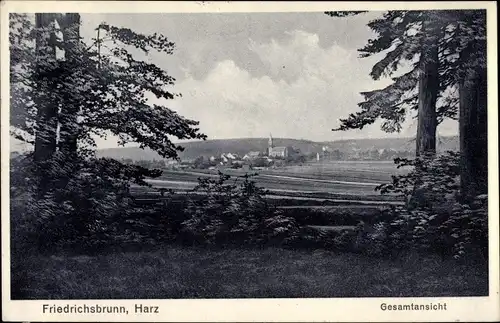 Ak Friedrichsbrunn Thale im Harz, Panorama