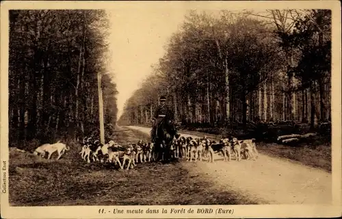 Ak Bord Eure, Une meute dans la Foret, Chien