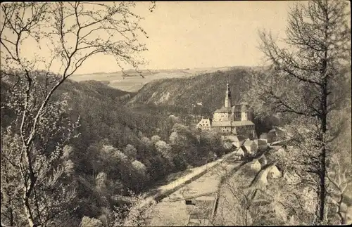 Ak Weesenstein Müglitztal in Sachsen, Partie mit Schloss, Bergen Finkenfang und Maren