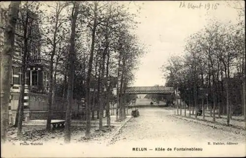 Ak Melun Seine et Marne, Allee de Fontainebleau