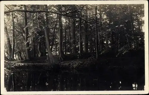 Ak Hamburg Wandsbek Poppenbüttel, Waldpartie, Alster