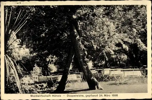 Ak Hüholz Kappeln an der Schlei, Doppeleiche, gepflanzt am 24. März 1898