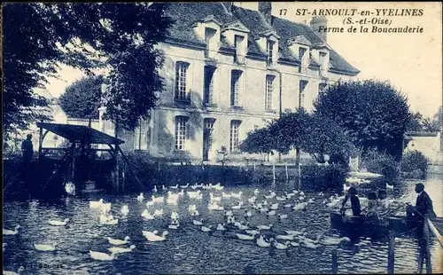 Ak Saint Arnoult en Yvelines, Ferme de la Boucauderie, Enten, Ruderboot