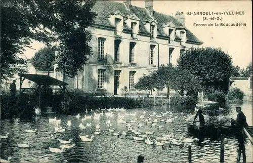 Ak Saint Arnoult en Yvelines, Ferme de la Boucauderie, Enten, Ruderboot