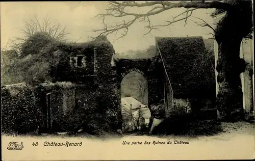 Ak Chateaurenard Loiret, Ruines de Chateau