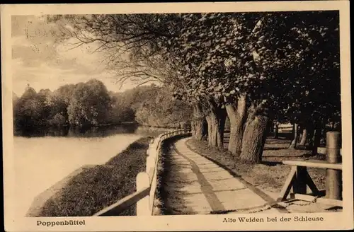 Ak Hamburg Wandsbek Poppenbüttel, Alte Weiden bei der Schleuse