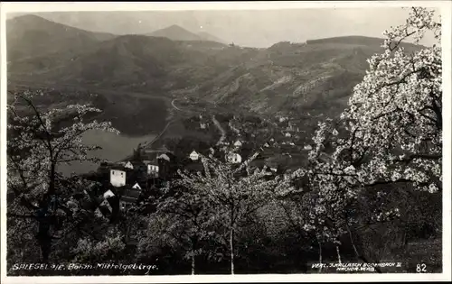 Ak Dolní Zálezly Salesel Elbe Region Aussig, Teilansicht, Baumblüte