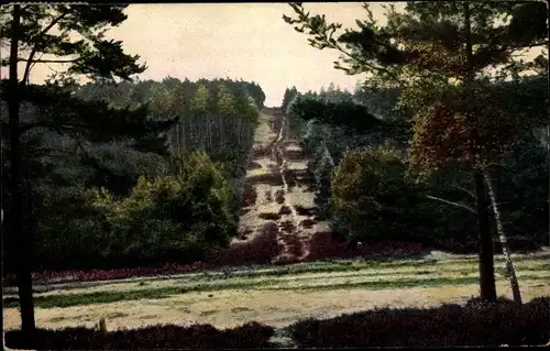 Ak Jesteburg im Kreis Harburg, Partie im Kleckerwald, Klecken Jesteburg, Heideserie 267