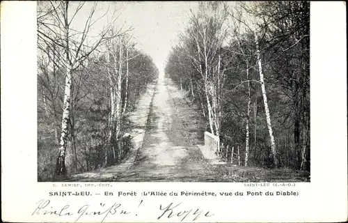 Ak Saint Leu Val d´Oise, En Foret