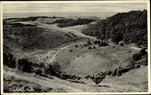 Ak Mols Dänemark, Tinghulen, Landschaftsblick