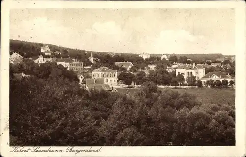 Ak Bad Sauerbrunn im Burgenland, Panorama