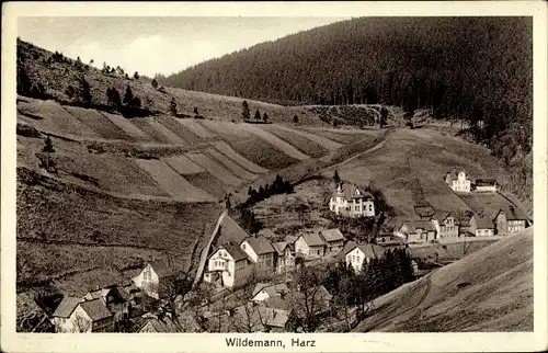 Ak Wildemann Clausthal Zellerfeld im Oberharz, Teilansicht