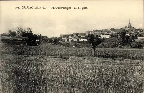 Ak Brissac Maine et Loire, Panorama