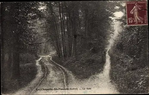 Ak La Chapelle Saint Mesmin Loiret, Le Bois