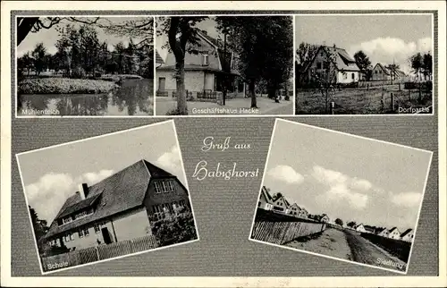 Ak Habighorst in Niedersachsen, Mühlenteich, Geschäftshaus Hacke, Dorfpartie, Schule, Siedlung