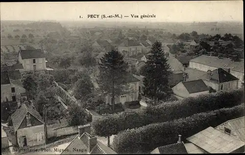 Ak Pecy Seine et Marne, Vue générale