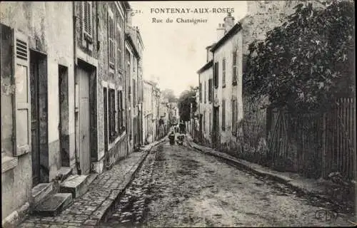 Ak Fontenay aux Roses Hauts de Seine, Rue du Chataignier