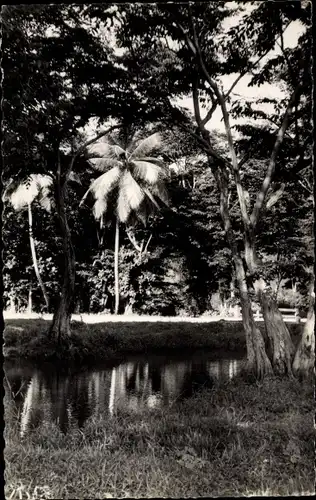 Ak Guadeloupe, Paysage Tropical