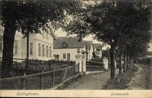Ak Kellinghusen in Schleswig Holstein, Lindenstraße
