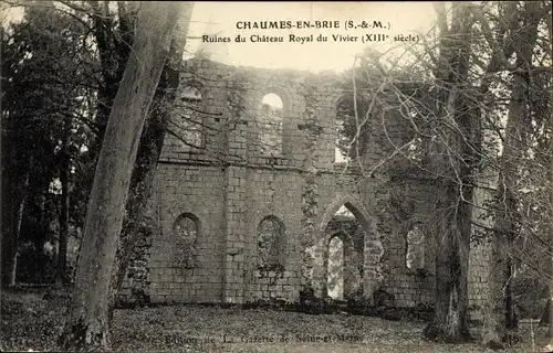 Ak Chaumes en Brie Seine et Marne, Ruines du Château Royal du Vivier