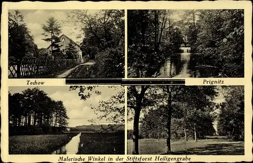 Ak Heiligengrabe in der Prignitz, Stiftsforst, Landschaft, Techow