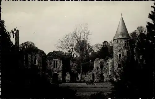 Ak Chaumes en Brie Seine et Marne, Les ruines du Vivier