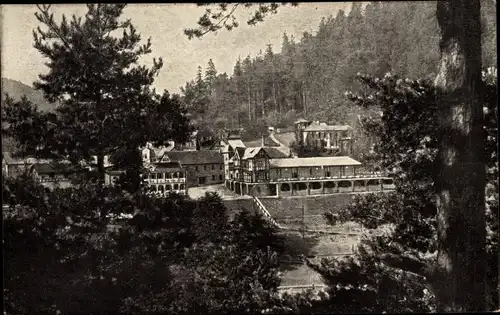 Ak Schwarzburg in Thüringen, Nöllers Hotel Kurhaus Thüringer Hof