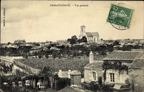Ak Champtoceaux Maine-et-Loire, Vue générale