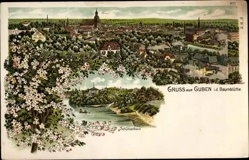 Litho Guben in der Niederlausitz, Blick auf den Ort, Baumblüte