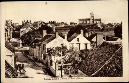 Ak Boiscommun Loiret, Vue generale