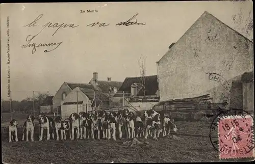 Ak Tours Indre et Loire, La Meute