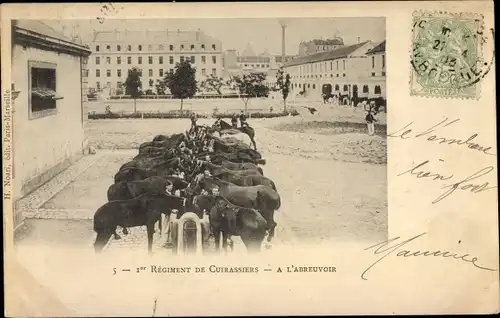 Ak 1er Regiment de Cuirassiers, a l'abreuvoir, Pferde