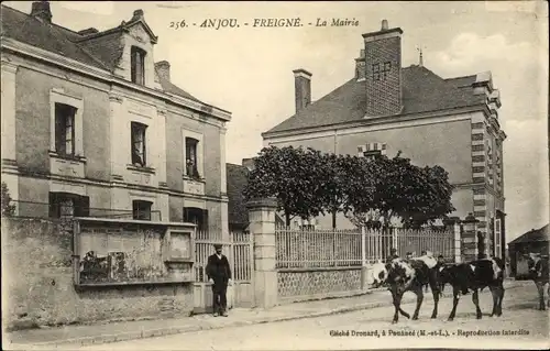 Ak Freigne Maine et Loire, La Mairie, des boeufs