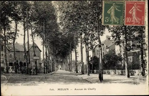 Ak Melun Seine et Marne, Avenue de Chailly