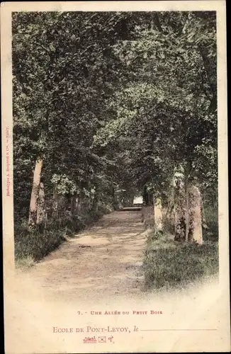 Ak Pontlevoy Loir et Cher, une allée du petit Parc, École de Pont Levoy