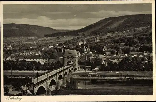 Ak Miltenberg am Main in Unterfranken, Panorama