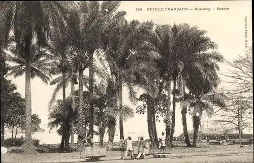 Ak Conakry Konakry Guinea, Entrée