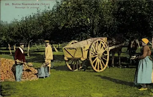 Ak Normandie Calvados, Mesurage de pommes