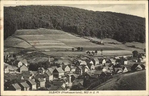 Ak Silbach Winterberg im Sauerland, Gesamtansicht