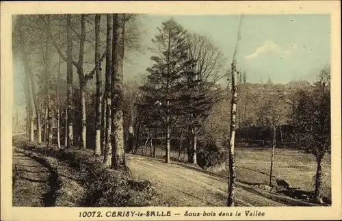 Ak Cerisy-la-Salle Manche, Sous bois dans la Vallee